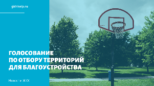 Голосование по отбору территорий для благоустройства